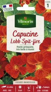 Capucine de Lobb Spit-fire 